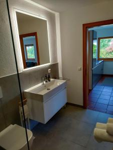 a bathroom with a sink and a mirror and a toilet at Gemütliche Wohnung in Oberteuringen in Oberteuringen +16 photos