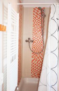 a bathroom with a bath tub with a shower at Apartments Odměny U Třeboně in Třeboň