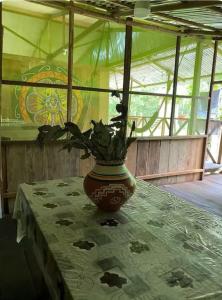 Afbeelding uit fotogalerij van YAKU lodge & camping in Padre Cocha