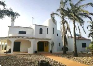 een wit huis met palmbomen ervoor bij Vivenda Marias in Lagoa