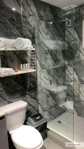 a bathroom with a toilet and a glass shower at Hostal Lopez El Valle Cabañas in El Valle