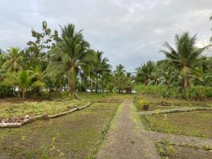 Gallery image of Sonona jovi in Nuquí
