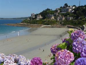 widok na plażę z fioletowymi kwiatami w obiekcie Breton cottage, 500 m beach, Penvénan, Pink Granite Coast-ex TUI w mieście Penvénan