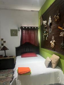 Schlafzimmer mit einem Bett mit grünen und roten Wänden in der Unterkunft Mendoza’s GUESTHOUSE in Santa Ana + 56 Fotos