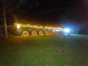 Foto dalla galleria di Glamping y Camping Zompopas Trails Costa Rica a Puerto Jiménez