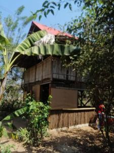 Zahrada ubytování Casa Surya Naturaleza y Bienestar