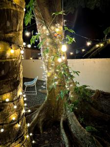 Fotografie z fotogalerie ubytování Villa Bamboo 2 v destinaci San Juan