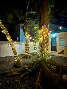 Zahrada ubytování Villa Bamboo 2
