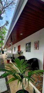 a building with chairs and a plant in front of it at ALOHA SUNZAL Piscina TV WIFI SURF playa sunzal in La Libertad +11 photos