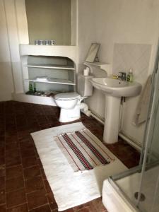 ein Badezimmer mit Toilette und Waschbecken in der Unterkunft Elegant Town house-sleeps 14 in Saint-Hippolyte-du-Fort + 37 Fotos
