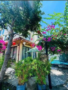 Κήπος έξω από το Basil Villa An Bàng Beach