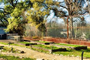 a garden with concrete steps and a fence at Cozy Tiny Home on an Eco Farm Huge Yard in Austin