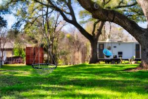 a basket hanging from a tree in a yard at Cozy Tiny Home on an Eco Farm Huge Yard in Austin