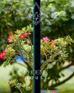 Zahrada ubytování Phoenix house ahangama