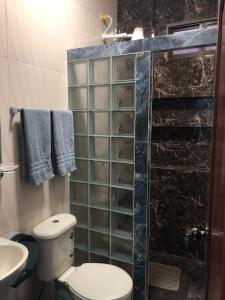 プエルト・バケリソ・モレノにあるCasa Cypress - Acogedor Departamento Vacacionalのシャワー、トイレ、洗面台付きのバスルーム