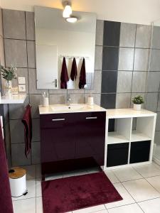 ein Badezimmer mit Waschbecken und Spiegel in der Unterkunft La maison de CASTETS entre forêt et océan in Castets