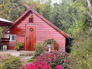 Gallery image of IZA Homestay in Trai Mat