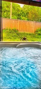 a dog on a leash in a swimming pool at 70 percent Off Luxurious Hot Tub,Sauna, 2000Sqft of Private in Vaughan
