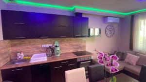 Kuchyňa alebo kuchynka v ubytovaní Timi wellness Apartman Siófok