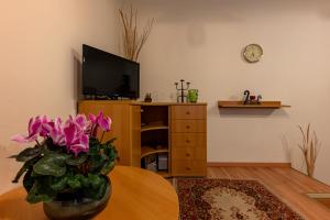 Televízia a/alebo spoločenská miestnosť v ubytovaní a quiet studio in the heart of the city