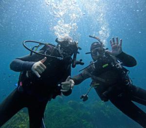 two people are scuba diving in the water at Tutukaka Sunrise in Tutukaka