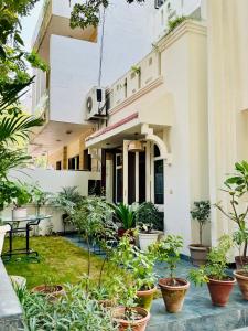 グルガオンにあるArt KOTHI Gurgaonの鉢植えの中庭
