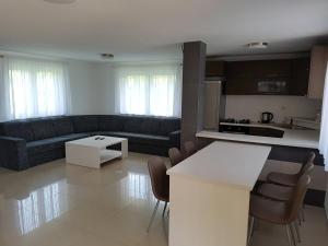 Køkken eller tekøkken på Villa Natali Podhájska