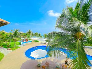 a palm tree sitting next to a swimming pool at Hon Rom 2 Resort in Mui Ne
