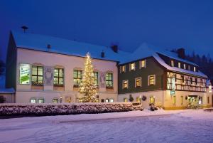 a christmas tree in front of a building in the snow at Hotel Gasthof zum Walfisch in Klingenthal