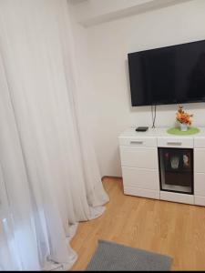 TV a/nebo společenská místnost v ubytování Apartment Alba + 12 fotografií