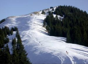 a snow covered slope with trees on a mountain at Ferienwohnung Alpenblick in Pürgen