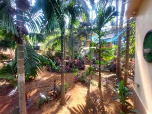 Zahrada ubytování Areca Nest + 20 fotografií