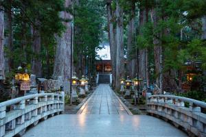 un ponte in una foresta con alberi e luci di Sanso Amanosato a Katsuragi