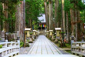 un sentiero attraverso una foresta di alberi con un ponte di Sanso Amanosato a Katsuragi