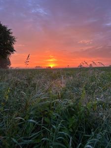 ファーレルにあるMeedehof Moorhausen, WH Pferdestallの草原夕焼け