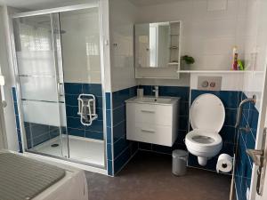 a small bathroom with a toilet and a shower at La p'tite camargue in Le Crotoy +27 photos