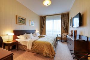 TV a/nebo společenská místnost v ubytování Hotel Devín