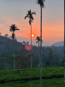 Příroda nedaleko rezortu