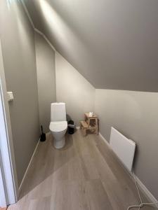 a bathroom with a toilet in a room at Beautiful Villa in Isfjorde in Isfjorden