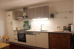a kitchen with a sink and a stove top oven at Haus Frei-Zambra in Vandans