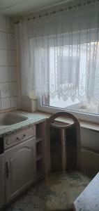 a kitchen with a sink and a window at Ferienwohnung Bienchen in 04680 in Colditz