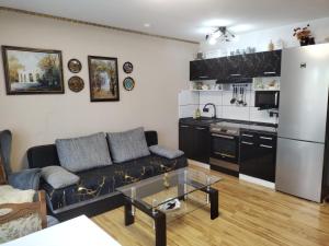Kuchyň nebo kuchyňský kout v ubytování Apartment Hercules
