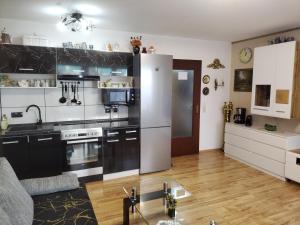 Kuchyň nebo kuchyňský kout v ubytování Apartment Hercules