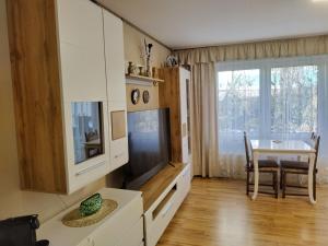 Kuchyň nebo kuchyňský kout v ubytování Apartment Hercules