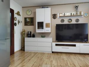 Kuchyň nebo kuchyňský kout v ubytování Apartment Hercules