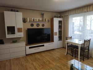 TV a/nebo společenská místnost v ubytování Apartment Hercules