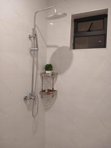 a shower in a bathroom with a plant on a shelf at A cozy studio apartment in Ruaka +7 photos