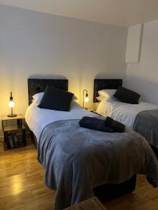 ロンドンにあるCozy 1 Bedroom Basement Flatのランプ2つとベッド2台が備わる客室内のベッド2台