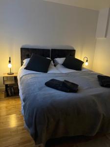 ロンドンにあるCozy 1 Bedroom Basement Flatのベッドルーム1室(大型ベッド1台、枕2つ付)