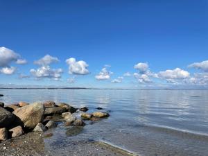 a group of rocks on the shore of a body of water at Ferienwohnung Teve - hyggelig & ebenerdig mit Kamin und großem Außenbereich in Steinbergkirche